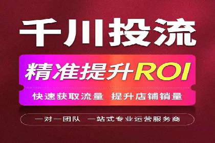 竞价排名广告投放案例
